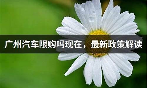 广州汽车限购政策最新新规定_广州汽车限购政策最新新规定是什么