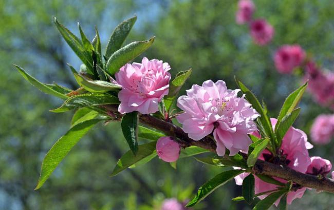 13年5月汽车销量排行榜_2013年5月汽车销量排行榜