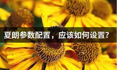 夏朗参数配置表_夏朗参数配置表折叠后排尺寸装大物