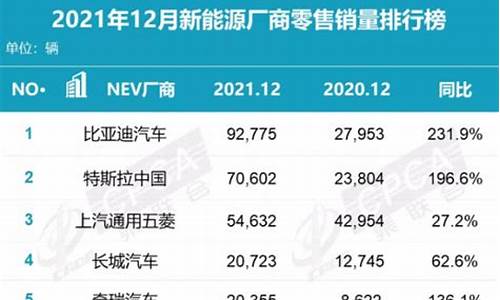 新能源汽车厂商2024年销量_新能源汽车厂商2024年销量如何