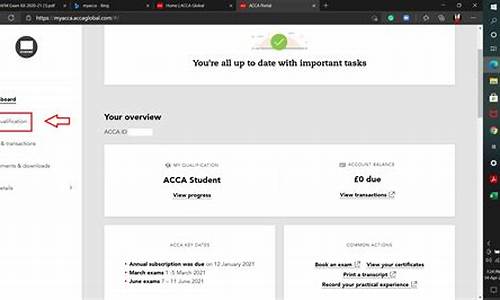 acca accountant in business